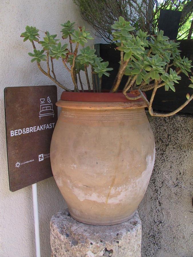 B&B Il Rustico Turate Exterior foto